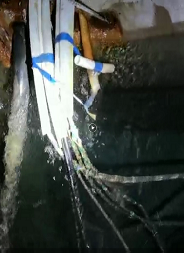 �й�������yl23455(����)���޹�˾-�ٷ���վ