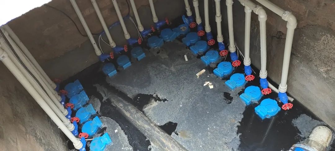 �������� ����yl23455�����ж�